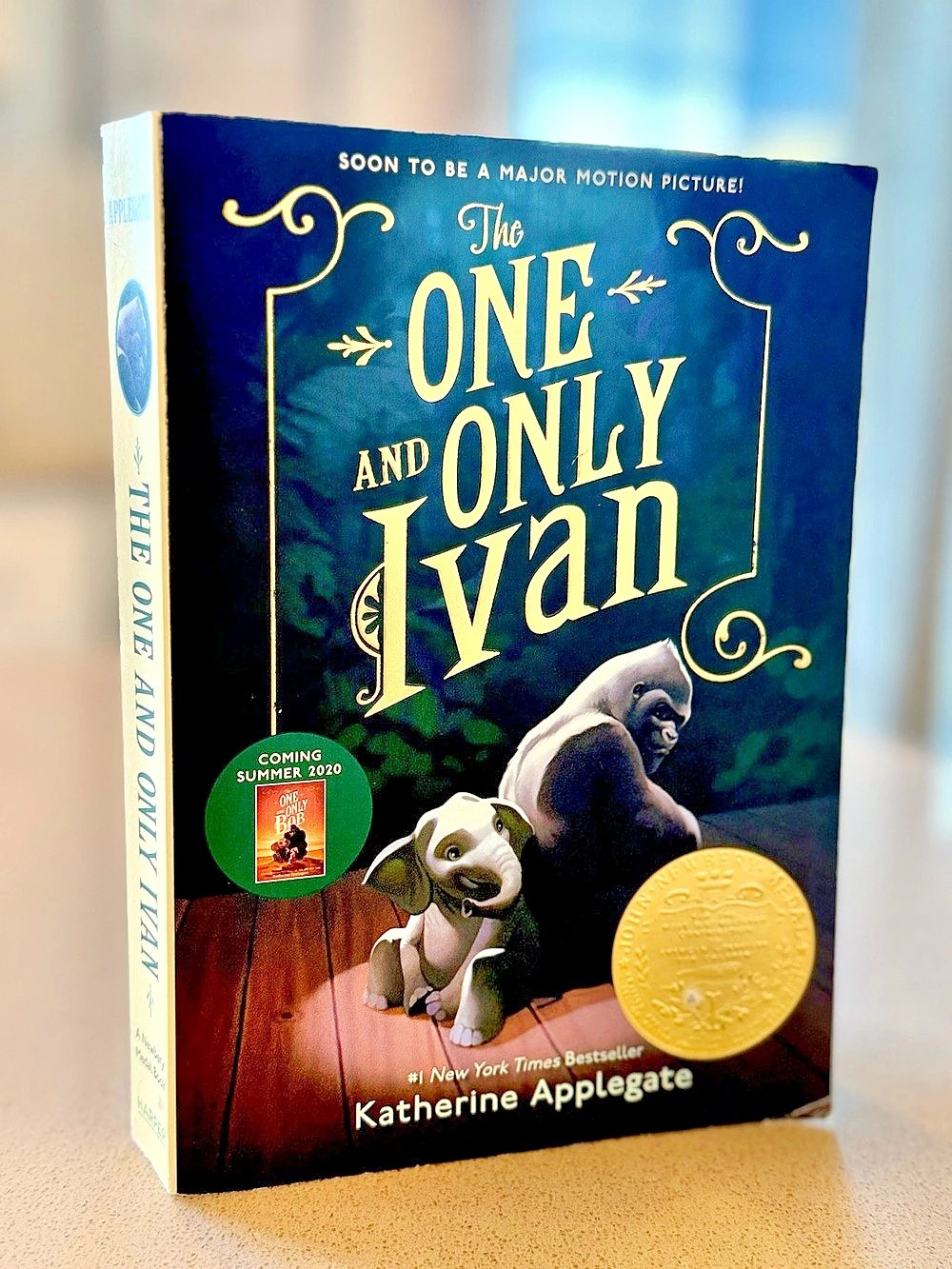 The One and Only Ivan Book